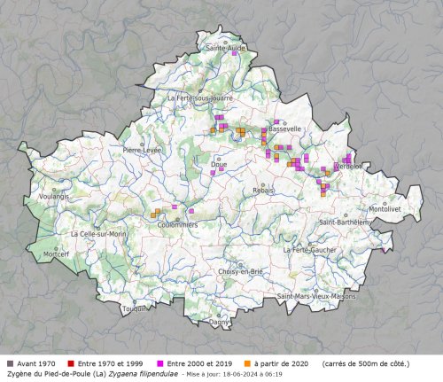 répartition en Brie des Morin - Zygaena filipendulae